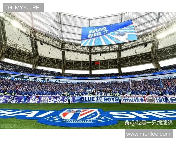 上海足球队个人能力排名创新高引发热议球迷期待新赛季表现