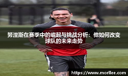 努涅斯在赛季中的崛起与挑战分析：他如何改变球队的未来走势