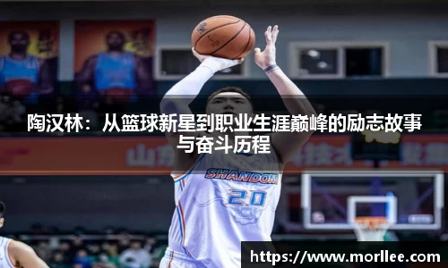 陶汉林：从篮球新星到职业生涯巅峰的励志故事与奋斗历程
